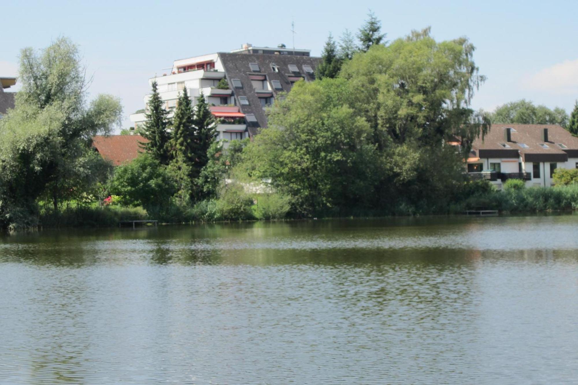 Ferienwohnung Am Weiher Meersburg Ngoại thất bức ảnh